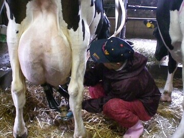 ようてい酪農ヘルパー利用組合-5