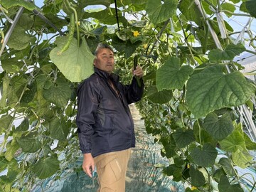 合同会社川村農園-top