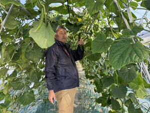 合同会社川村農園-top