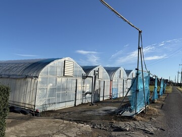 合同会社川村農園-2