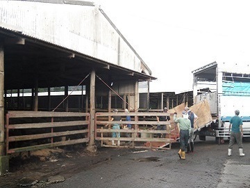 宮崎県小林市×肉牛/法人【35498】-1