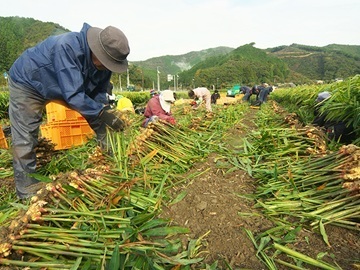 株式会社坂田信夫商店-1