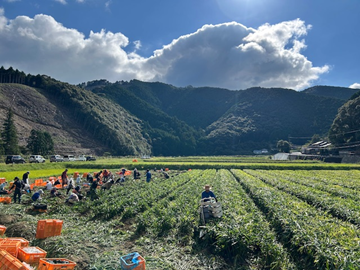 株式会社坂田信夫商店-2