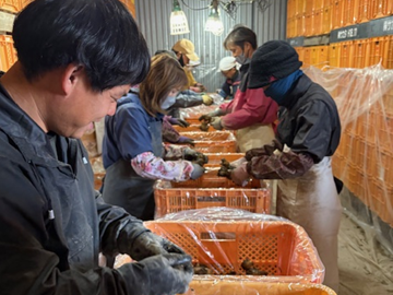 株式会社坂田信夫商店-5