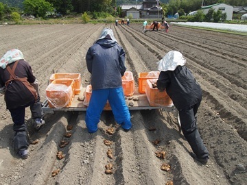 株式会社坂田信夫商店-3
