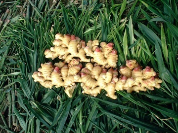 株式会社坂田信夫商店-8