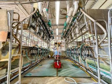 西條牧場(徳島県)-7