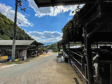 西條牧場(徳島県)-8