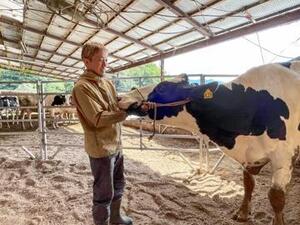 西條牧場(徳島県)-top