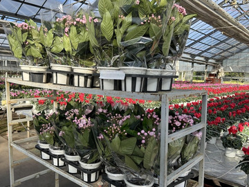 株式会社登坂園芸-2