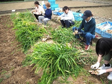 丸徳商事有限会社-2