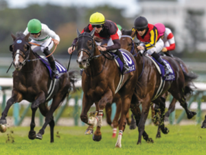 北海道新冠町×競走馬/法人【42706】-top