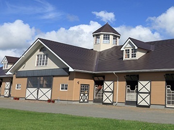 北海道新冠町×競走馬/法人【42706】-2