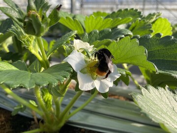 有限会社森産業-1