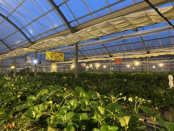 有限会社森産業-3