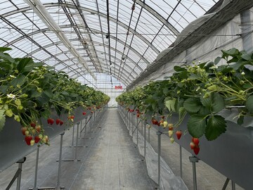 有限会社森産業-6