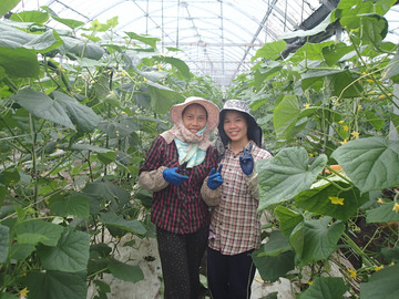 有限会社重元園芸【きゅうり生産スタッフ】-2