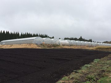 有限会社重元園芸【きゅうり生産スタッフ】-6