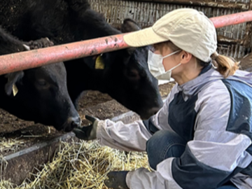 株式会社福井牧場-top