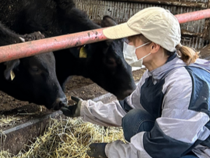 株式会社福井牧場-top