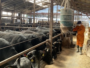 有限会社グリーンサポート-top