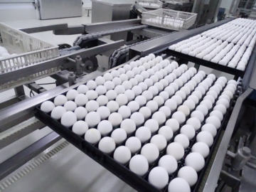 Hendrix Genetics Layers Japan合同会社【パート】-1