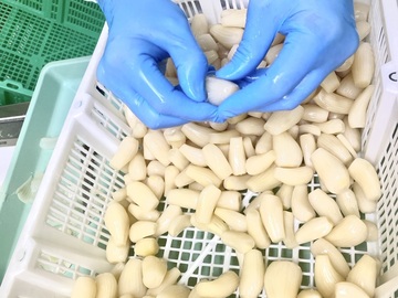 有限会社三里塚物産-1