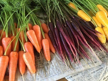 有限会社三里塚物産-6