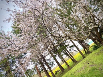 有限会社三里塚物産-7