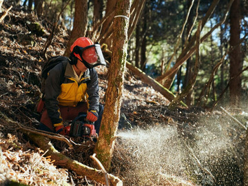 宮崎県西米良村 令和7年度地域おこし協力隊募集-2