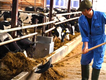 株式会社龍田牧場-1