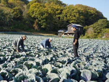 株式会社髙田農園-1