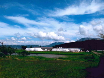 熊本県阿蘇市×酪農/法人【5619】-top