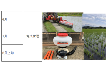 有限会社岩瀬-7