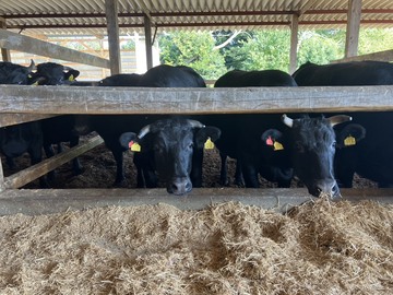 有限会社宮島牧場-7