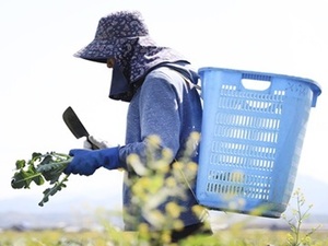株式会社タナカ農産-top