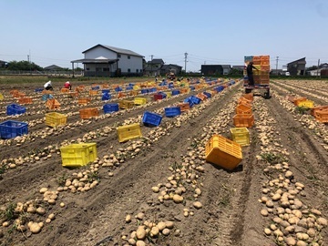 株式会社タナカ農産-1