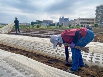 三枝(みえだ)農園-4