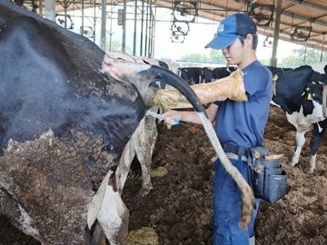 株式会社鳥渕牧場-1