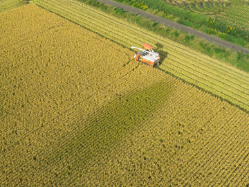 Grandfarm株式会社-1