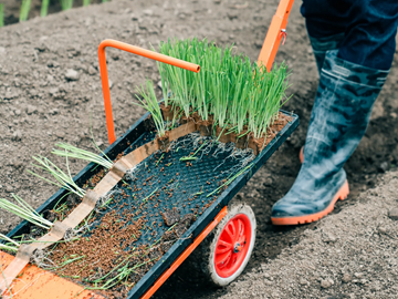 Grandfarm株式会社-2