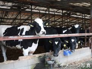 北海道中標津町×酪農/法人【42747】-top