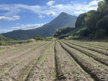 石谷ありがとう農園-1