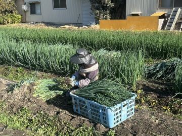 石谷ありがとう農園-6