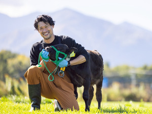 北海道清水町×肉牛/法人【33353】-top