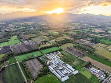 北海道清水町×肉牛/法人【33353】-3