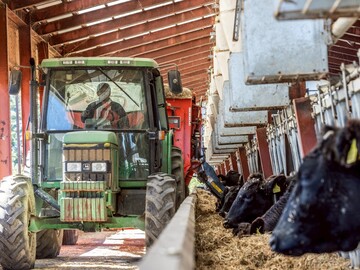 北海道清水町×肉牛/法人【33353】-7