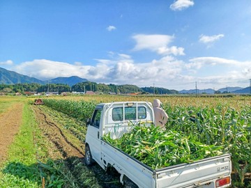 ひるぜん農園-4