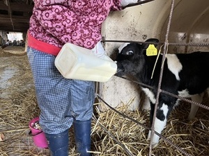 株式会社根本牧場-top