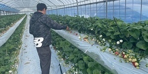 株式会社キチ・フィールド